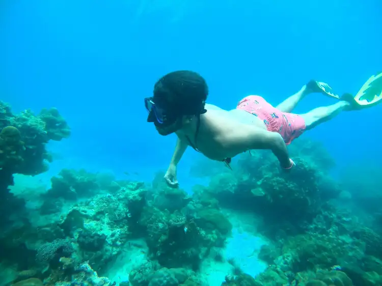 Diving and Snorkeling