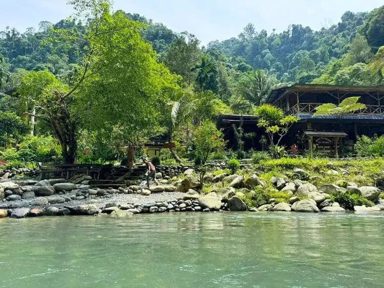 Amazing Private Bukit Lawang Trekking Tour from Medan