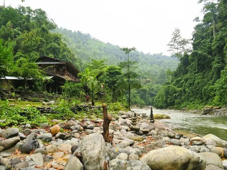 Amazing Private Bukit Lawang Trekking Tour from Medan