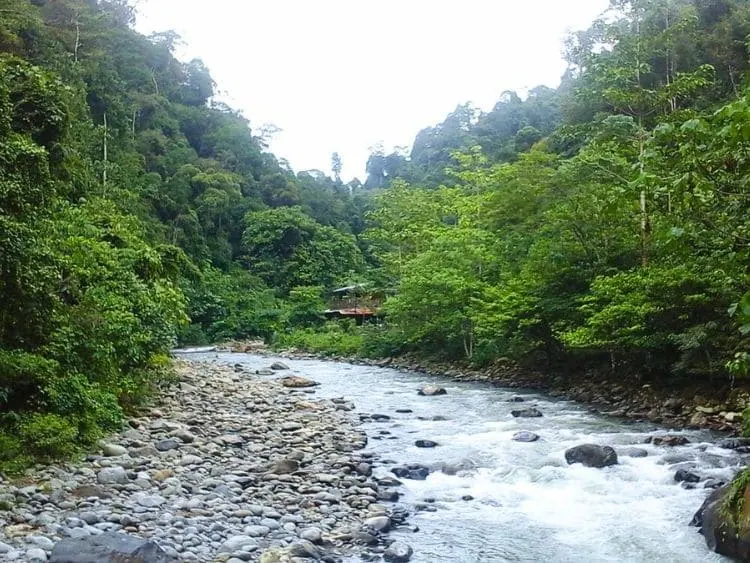 Amazing Private Bukit Lawang Trekking Tour from Medan