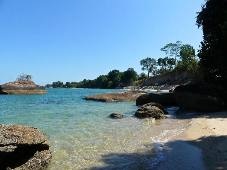 Private Langkawi Tour Tanjung Rhu Mangrove Kilim Geoforest