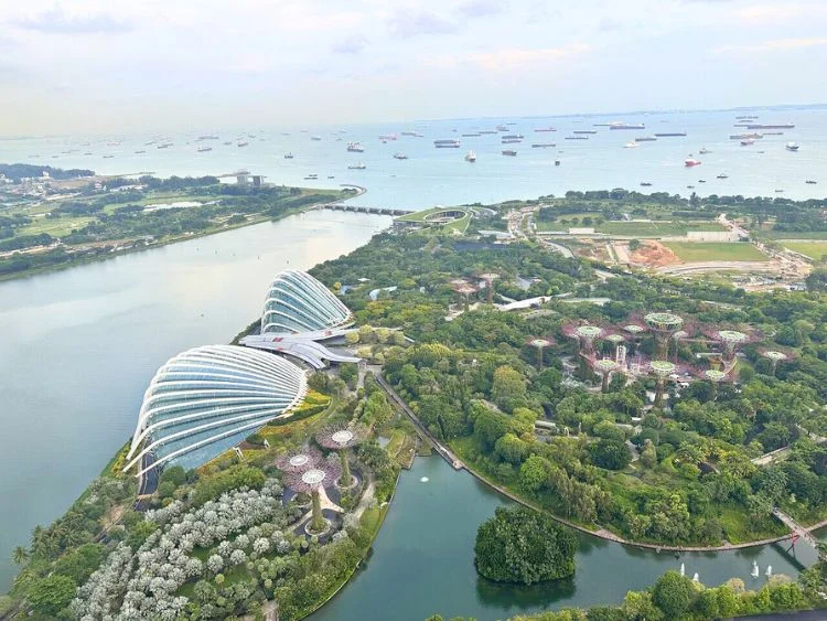 Romantic Private Singapore Night Tour with River Cruise