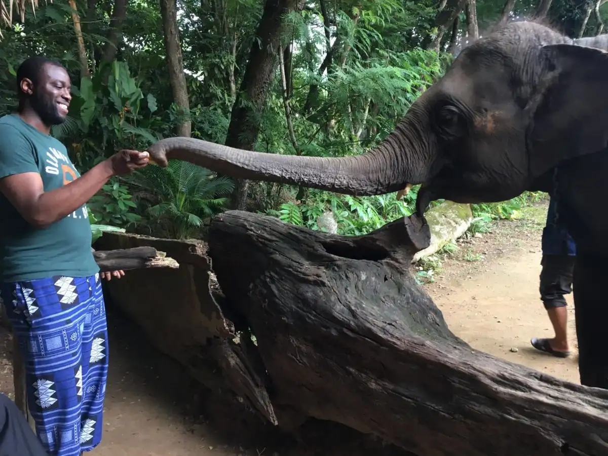 Amazing Mae Rim Tour with Elephant Ride Private Transfer Personal Guide