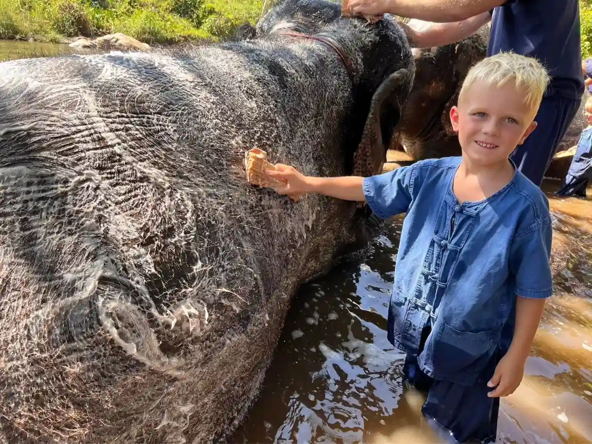 Amazing Mae Rim Tour with Elephant Ride Private Transfer Personal Guide