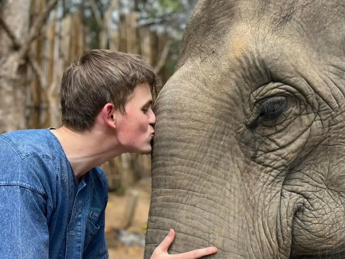 Amazing Mae Rim Tour with Elephant Ride Private Transfer Personal Guide