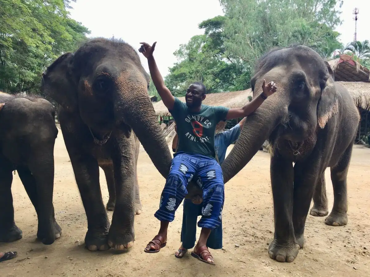 Amazing Mae Rim Tour with Elephant Ride Private Transfer Personal Guide