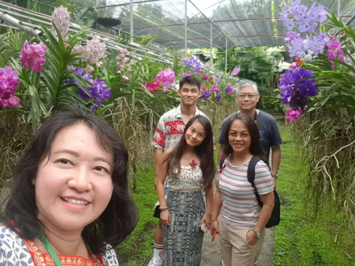 Amazing Mae Rim Tour with Elephant Ride Private Transfer Personal Guide