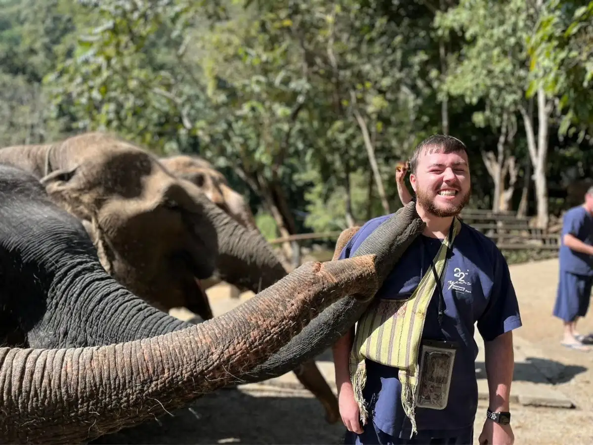 Amazing Mae Rim Tour with Elephant Ride Private Transfer Personal Guide