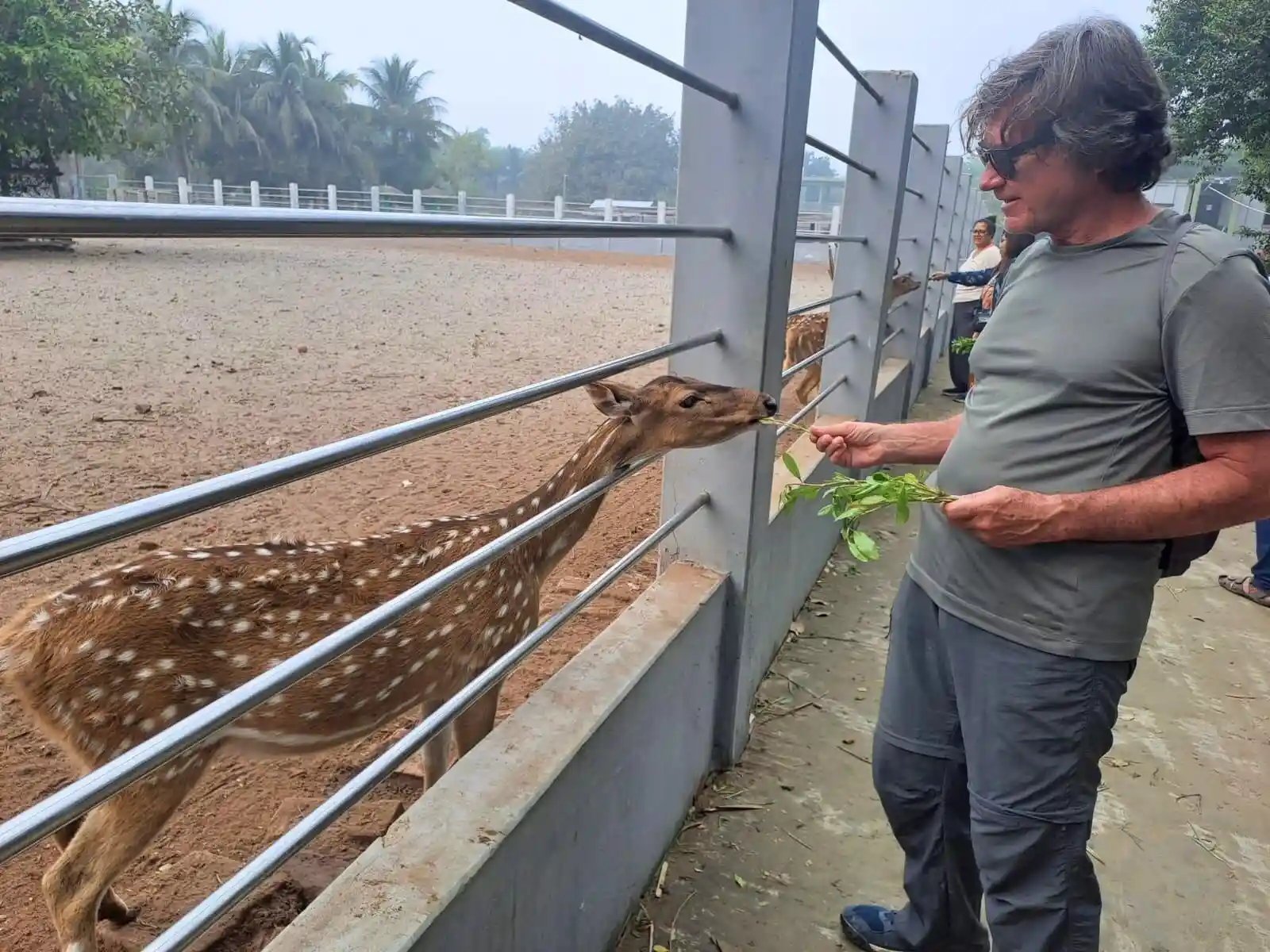 6-Day Bagerhat and Sundarbans Wildlife and History Tour from Dhaka