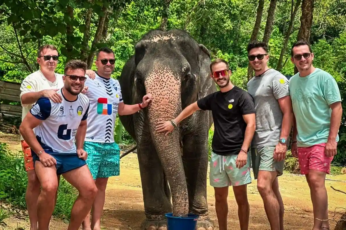 Half-Day Phuket Elephant Care Sanctuary Tour Experience of a Lifetime