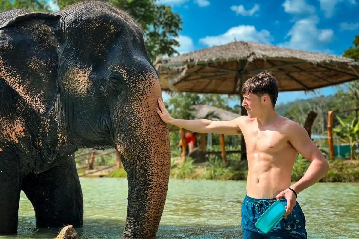 Half-Day Phuket Elephant Care Sanctuary Tour Experience of a Lifetime
