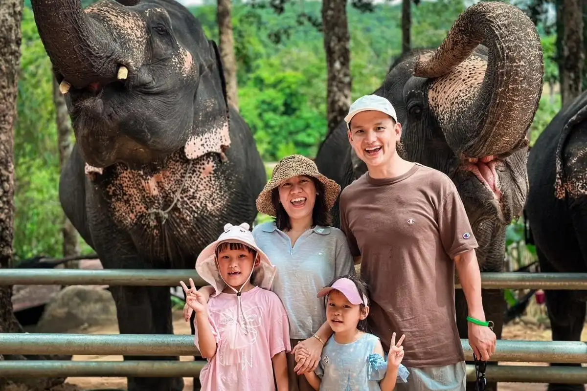 Half-Day Phuket Elephant Care Sanctuary Tour Experience of a Lifetime