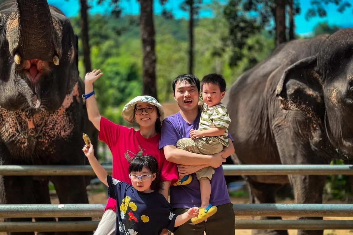 Half-Day Phuket Elephant Care Sanctuary Tour Experience of a Lifetime
