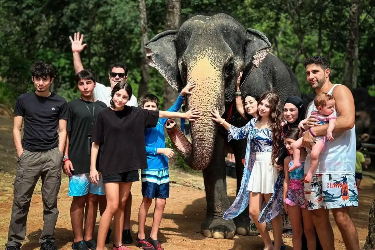 Half-Day Phuket Elephant Care Sanctuary Tour Experience of a Lifetime