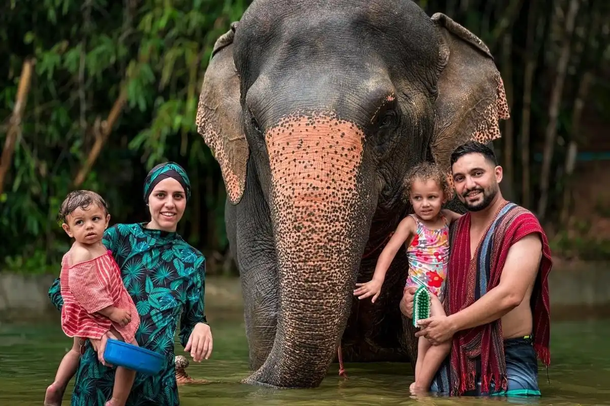 Half-Day Phuket Elephant Care Sanctuary Tour Experience of a Lifetime