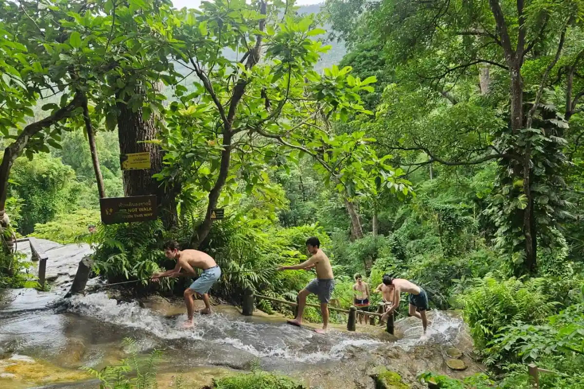 Bua Thong Sticky Waterfalls Private Tour from Chiang Mai