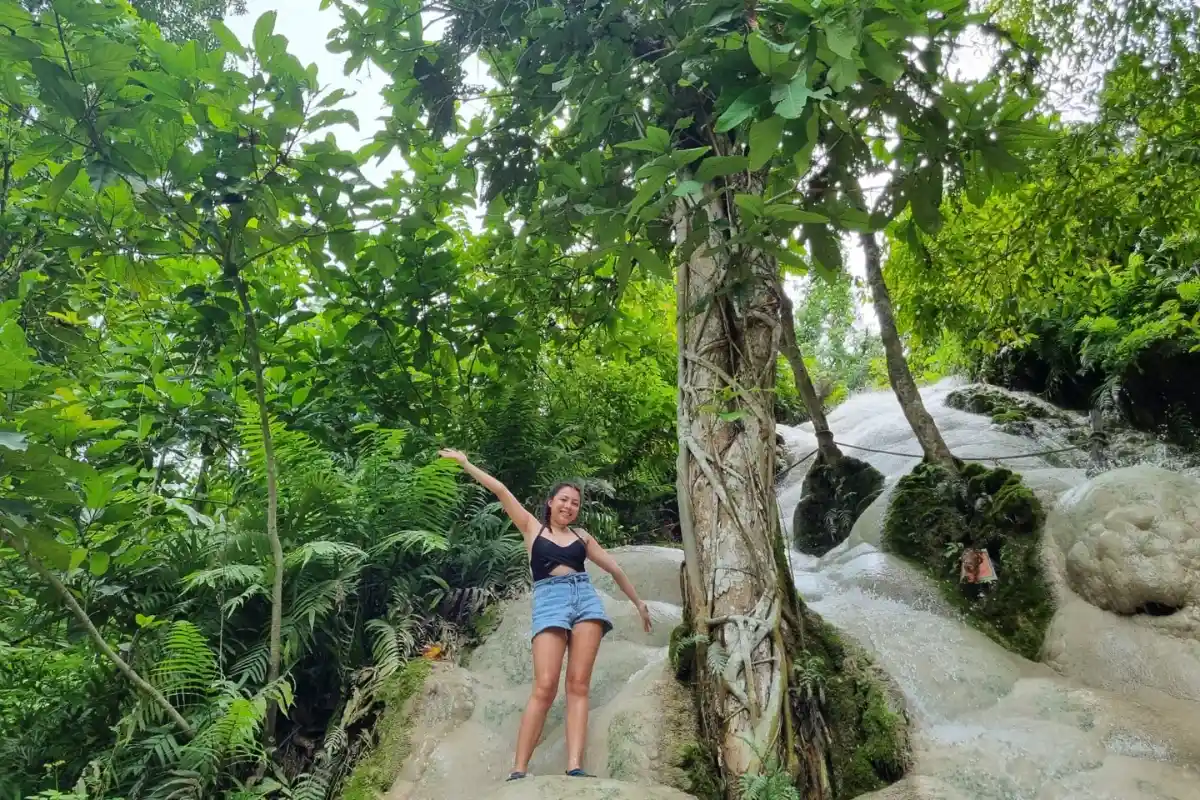 Bua Thong Sticky Waterfalls Private Tour from Chiang Mai