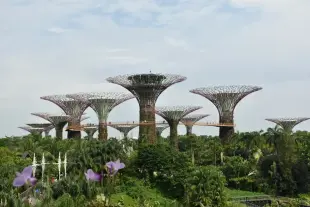 Gardens by the Bay Ticket Flower Dome and Cloud Forest Jurassic World Adventure