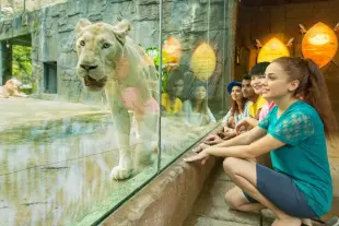 Sunway Lagoon Theme Park Ticket Day Admission Ultimate Family Adventure