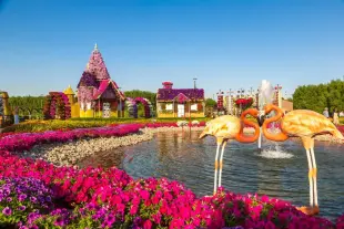 Best Price Dubai Miracle Garden Ticket See 150 Million Flowers