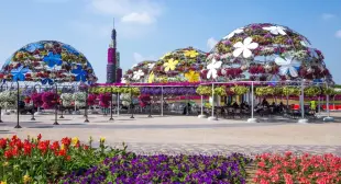 Ultimate Combo Dubai Miracle Garden and Global Village Entry Ticket