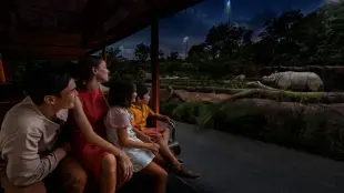 Guaranteed Singapore Night Safari Direct Entry Ticket with Tram