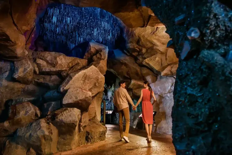 Singapore Night Safari Ticket Experience with Tram Ride