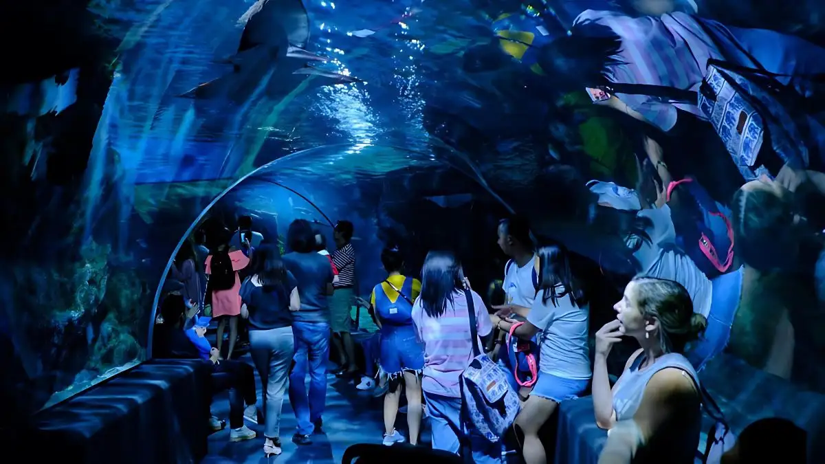 Sea Life Bangkok Ocean World Ticket