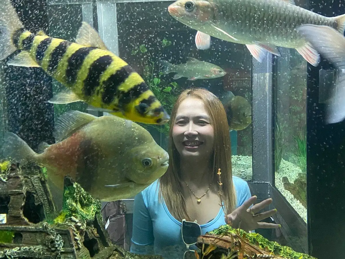 Monster Aquarium Pattaya Ticket