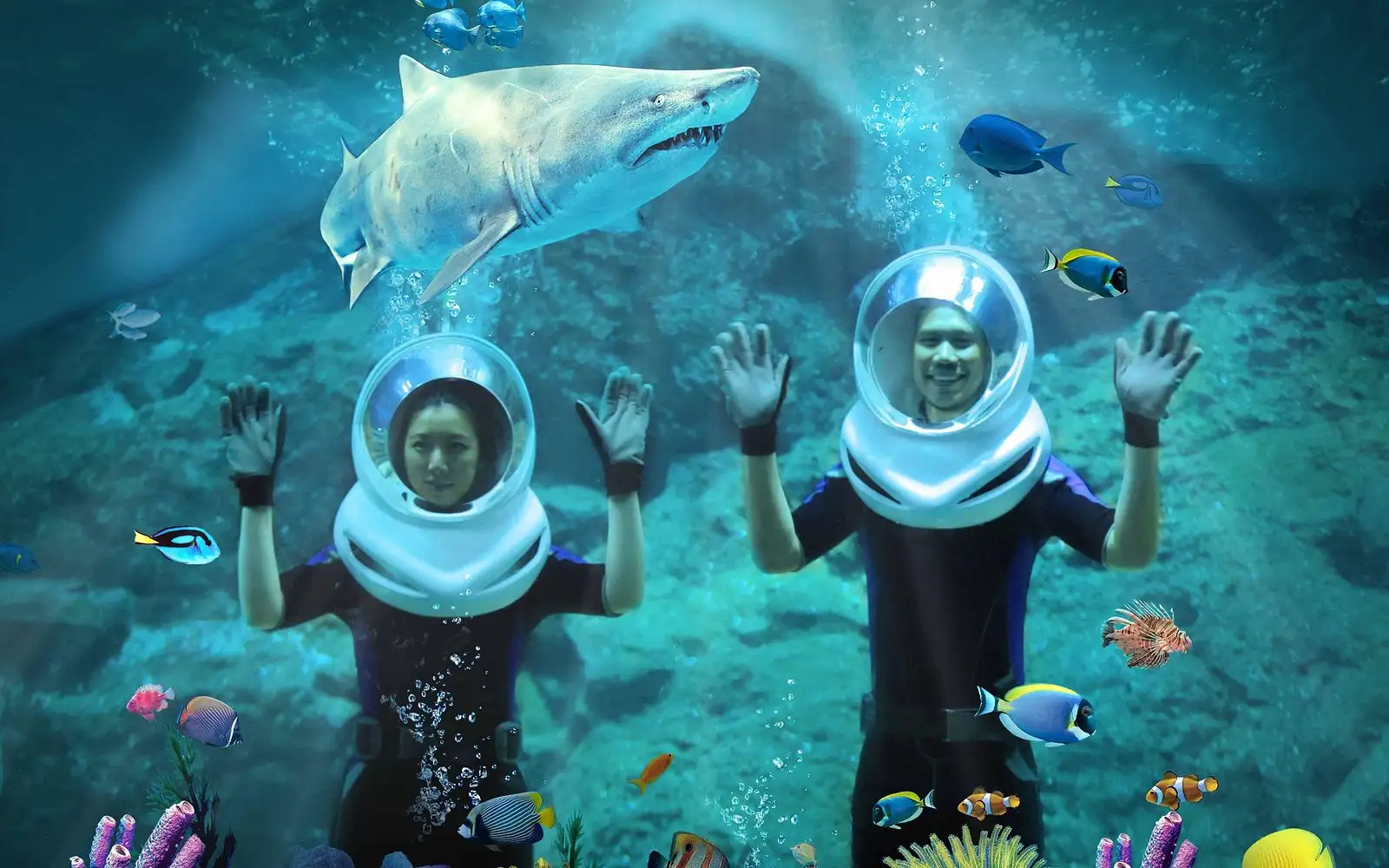 Singapore Flyer Ticket