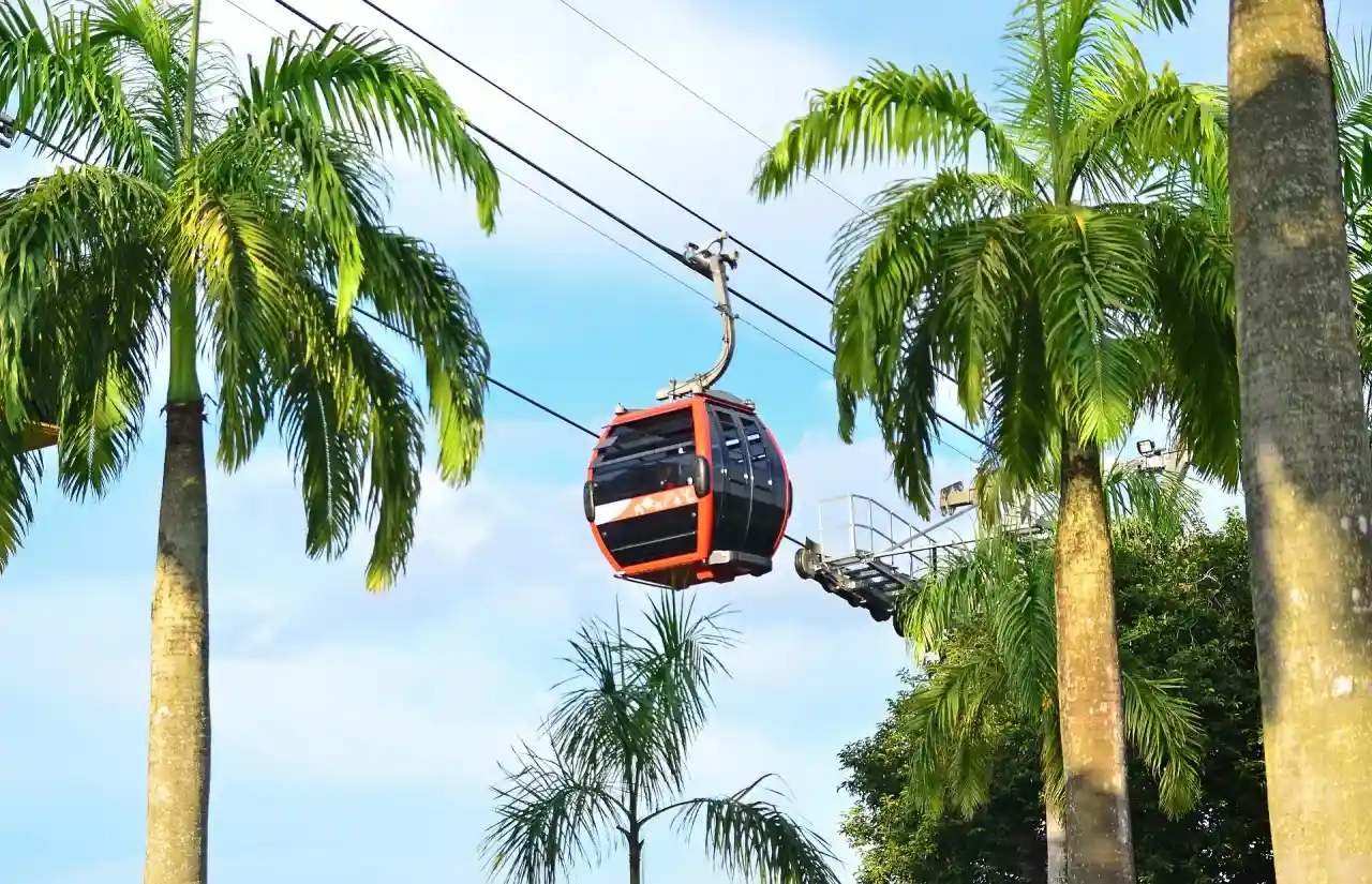 Singapore Cable Car Ticket Mount Faber Line Round Trip Family Adventure