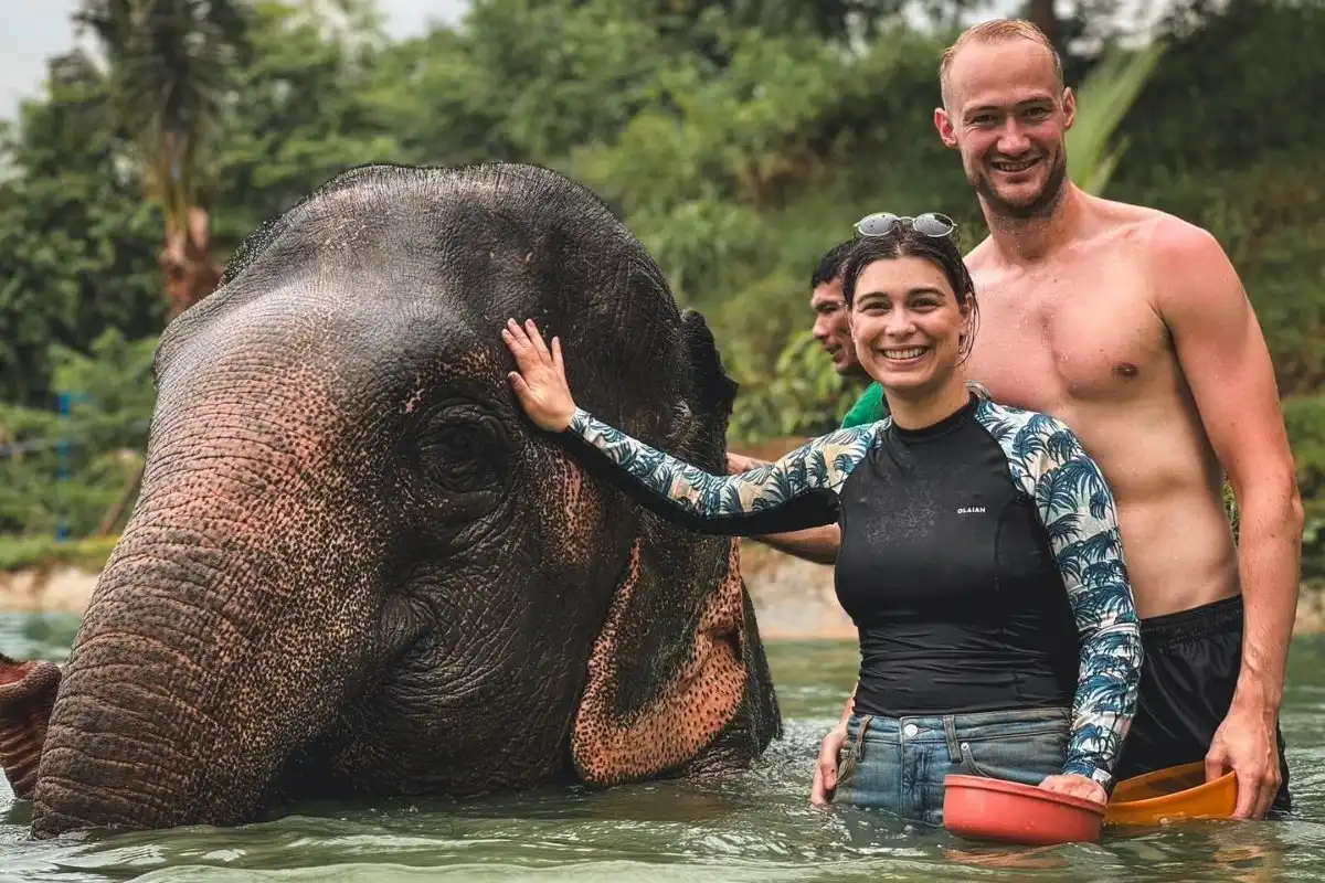 Book Half Day Phuket Elephant Care Sanctuary Experience Ticket Online