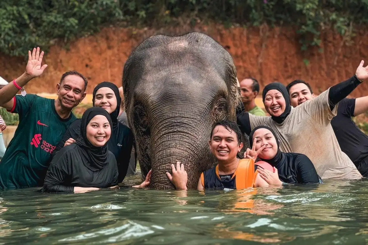 Book Half Day Phuket Elephant Care Sanctuary Experience Ticket Online