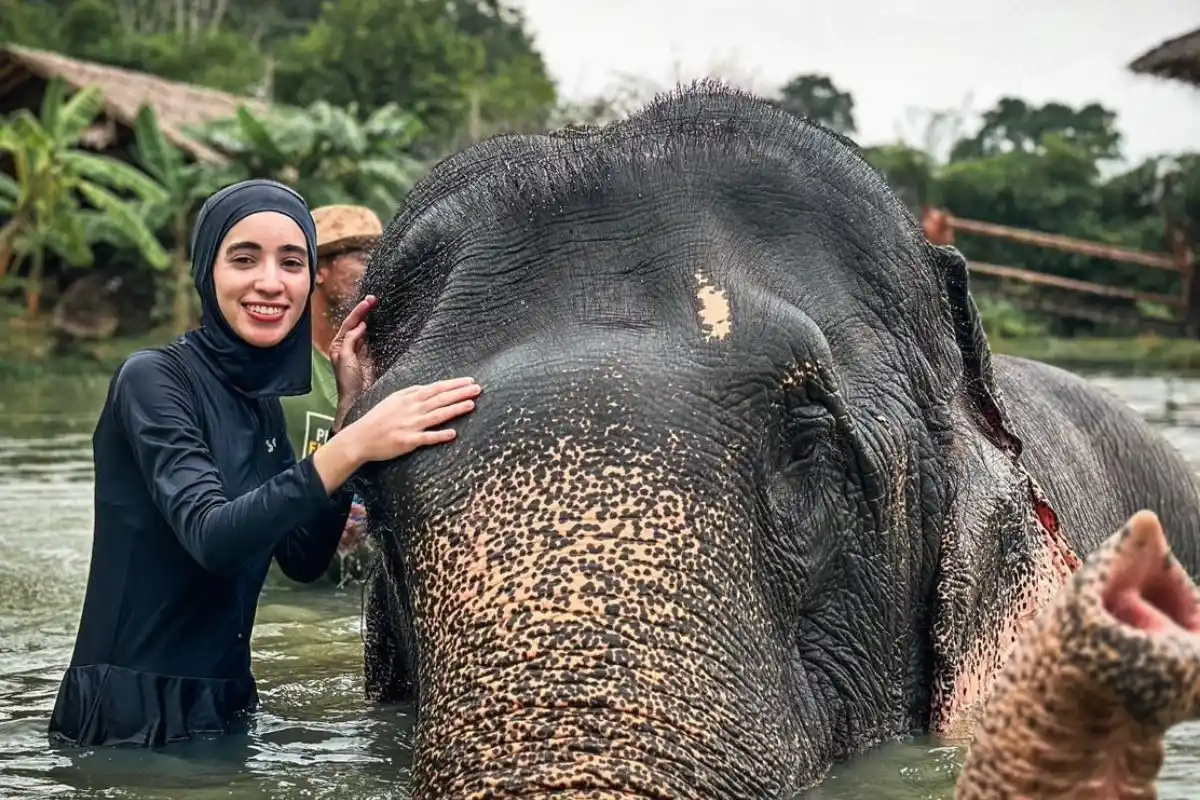 Book Half Day Phuket Elephant Care Sanctuary Experience Ticket Online