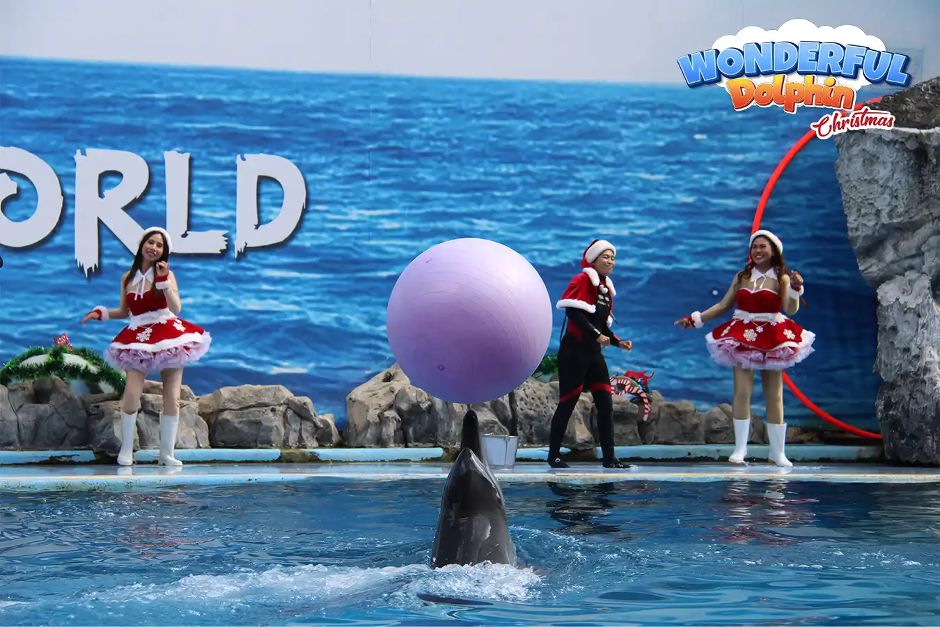 Bangkok Safari and Marine Park Ticket with Buffet Lunch Buy Online Now