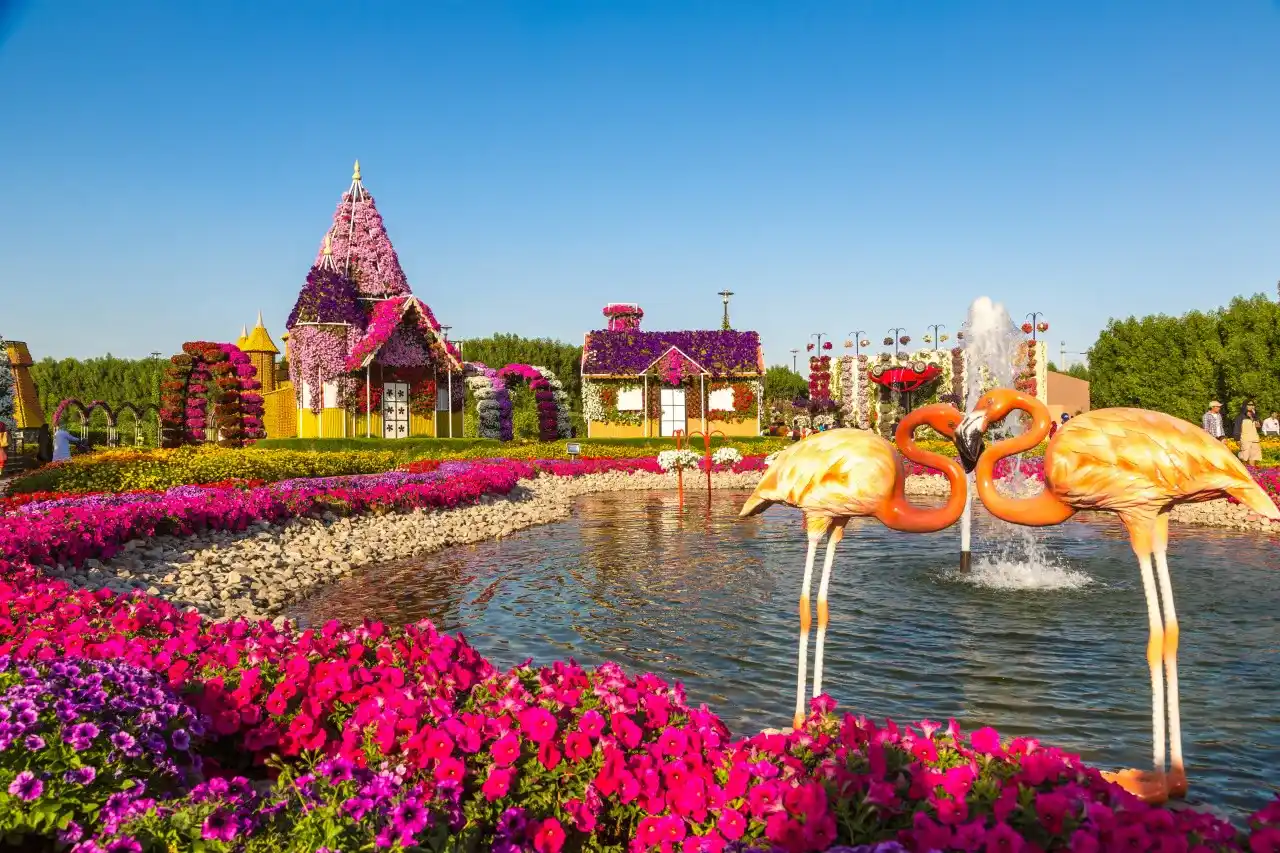 Best Price Dubai Miracle Garden Ticket See 150 Million Flowers