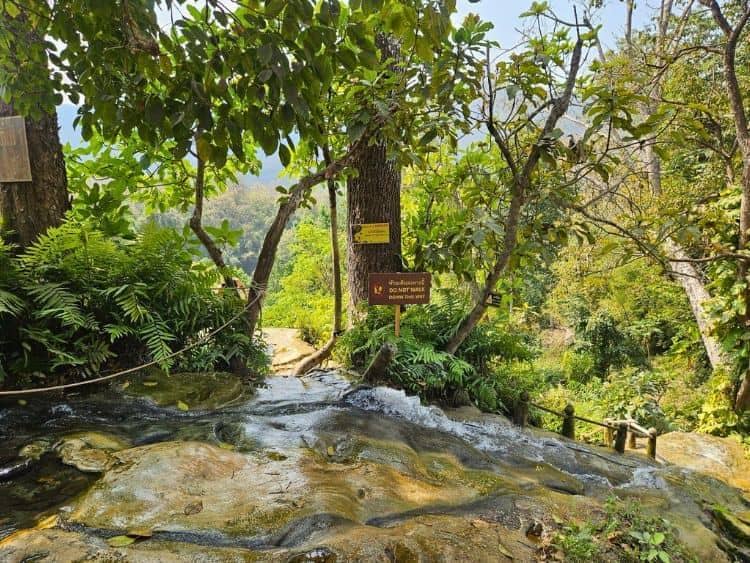 Amazing Private Bua Thong Sticky Waterfalls Tour Chiang Mai