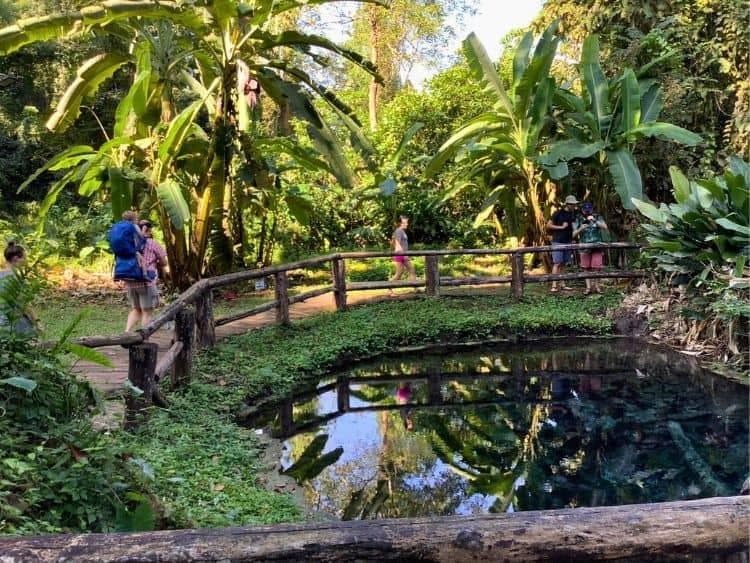 Amazing Private Bua Thong Sticky Waterfalls Tour Chiang Mai