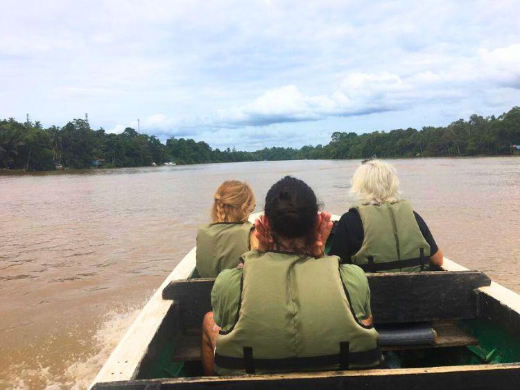 Scenic Kinabatangan Wildlife River Cruise Tour from Sandakan