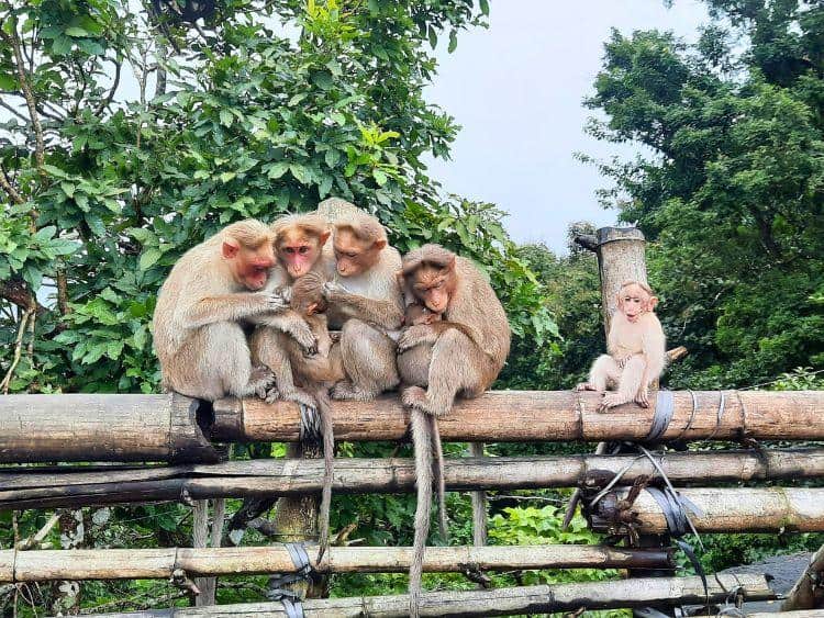 Private 2-Day Sandakan Wildlife Escape Tour with Cruise