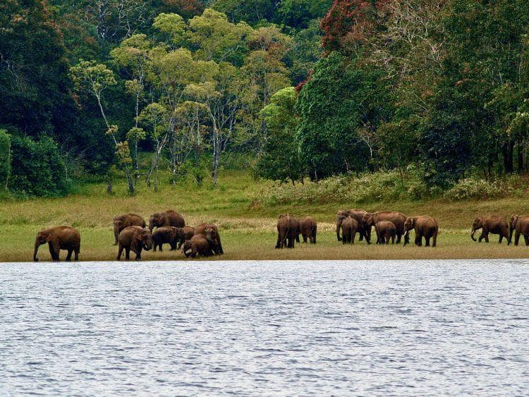 Private 2-Day Sandakan Wildlife Escape Tour with Cruise