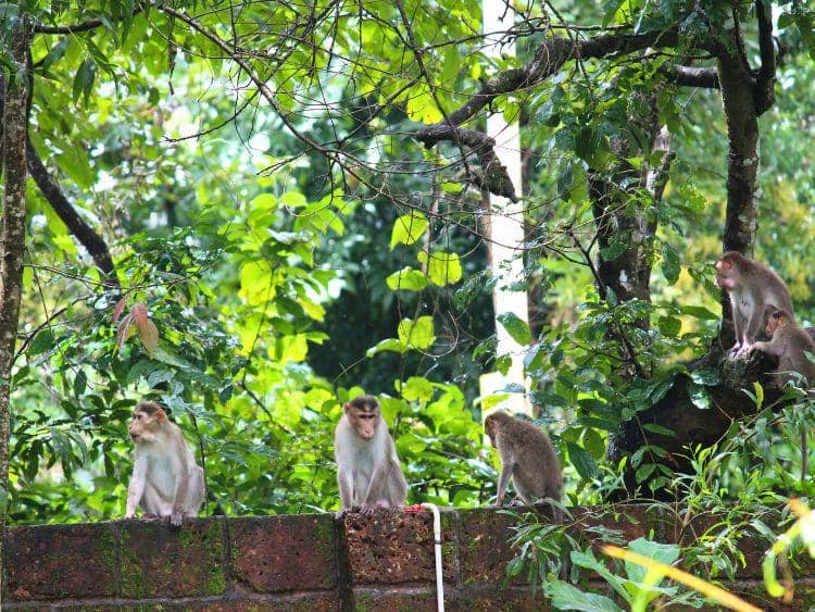 Private 2-Day Sandakan Wildlife Escape Tour with Cruise