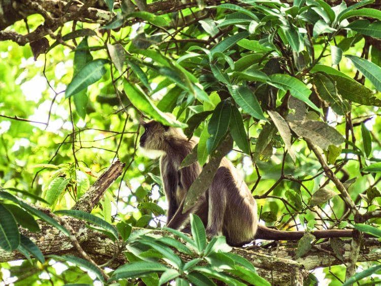 Private 2-Day Sandakan Wildlife Escape Tour with Cruise