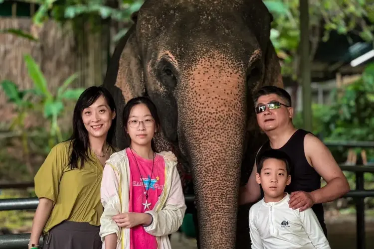 Half-Day Phuket Elephant Care Sanctuary Tour Experience for Unforgettable Joy