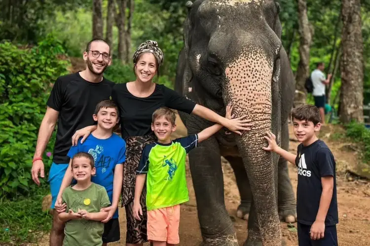 Half-Day Phuket Elephant Care Sanctuary Tour Experience for Unforgettable Joy