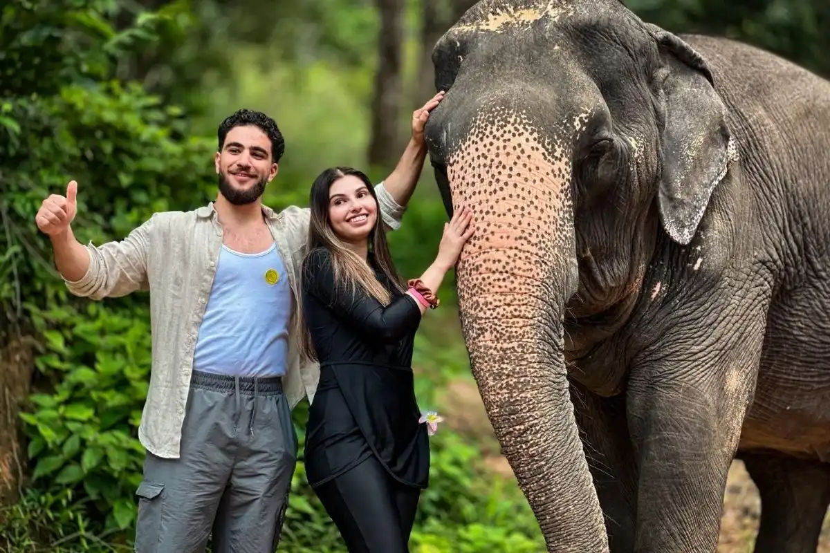 Half-Day Phuket Elephant Care Sanctuary Tour Experience for Unforgettable Joy