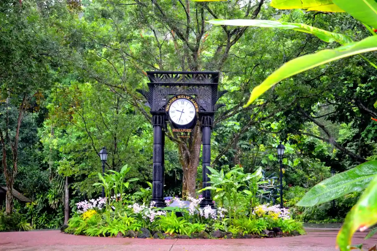 Singapore Botanical Garden & National Orchid Garden