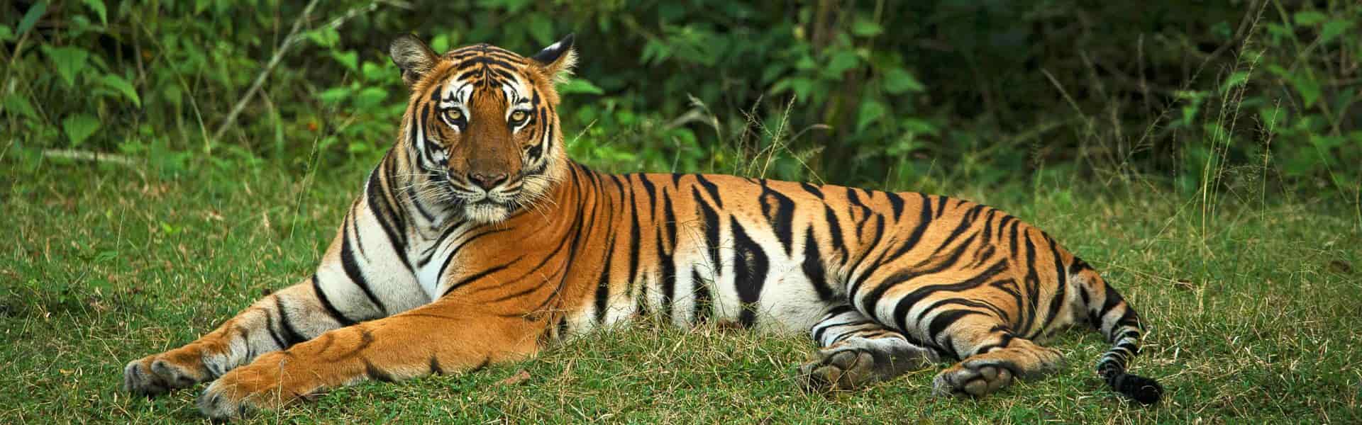 Top Satkhira Tours, Activities & Tickets in 2026