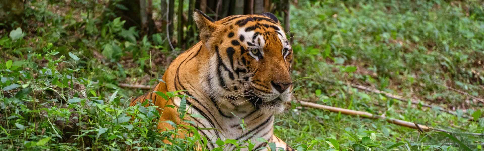 Khulna