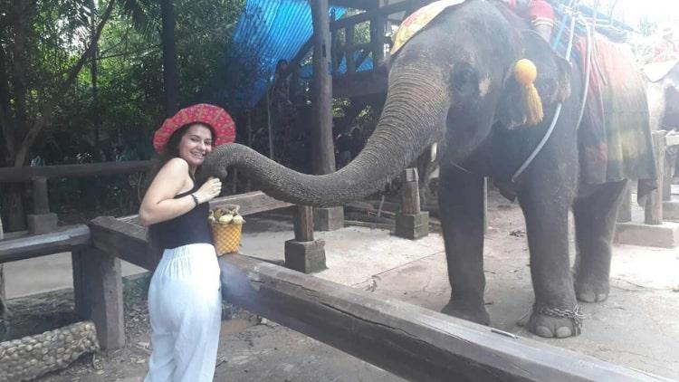 Damnoen Saduak Floating Market Tour from Bangkok Private Amazing Cultural Adventure
